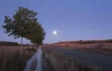 Meseta_by_moonlight.webp