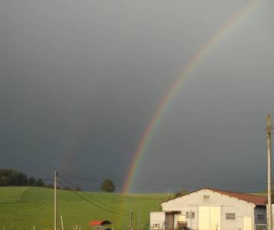 rainbow Campiello.jpg
