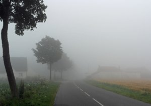 Foggy-morning.jpg