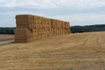 Great-Wall-of-Hay.webp