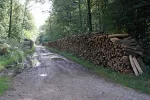 Great-Wall-of-Wood.webp