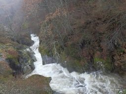 galician water.JPG