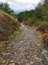 rocky trail.webp