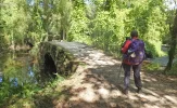 Camino 2016-127.webp