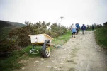 Abandoned Cart.webp