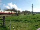 steam train.webp