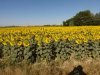 El Camino de Santiago numero quatro 2016 031.jpg