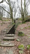 12 Mars 2017 Stenshuvud National Park  in Skåne 13.webp