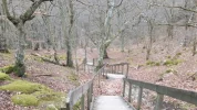 12 Mars 2017 Stenshuvud National Park  in Skåne 4.webp