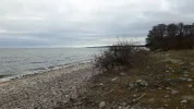 12 Mars 2017 Stenshuvud National Park  in Skåne 39.webp