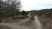 12 Mars 2017 Stenshuvud National Park  in Skåne 38.webp