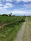 West Dyke Trail.webp