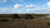 17 Mars 2017 Alvaret Southern Öland 6.webp