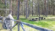 9 May 2017 Byxelkrok, Northern Öland (Lindreservatet) 47.webp