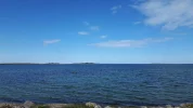 9 May 2017 Nabbelund, Northern Öland 2.webp