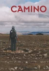 CAMINO BOOK cover.webp