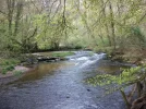 parke-river.webp