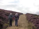 069. Approaching Bransdale Top.webp