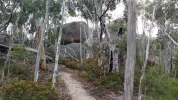 Kosciusko Waterfall Walk2.webp