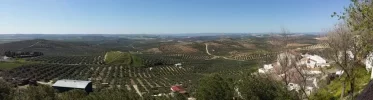 View from Espejo to Cordoba.webp