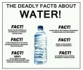 FactsAboutWater1.webp