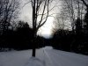 Winter walk in Eugenia, Ontario (1).jpg