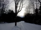 Winter walk in Eugenia, Ontario (1).webp