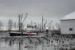 Steveston 4.webp