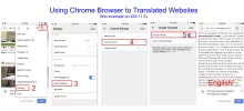 Translating with Chrome Browser.webp