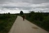 0554-buddhist monk on the path before Villalbilla (Burgos-Rabe de las Calzados, 31.05.2011).jpg