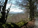 haldon view.webp