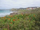 resized galicia 1.webp