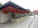 Floral-lavoir.webp