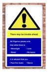 new camino sign (451 x 651).webp