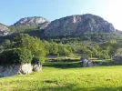 Limestone-outcrops.webp