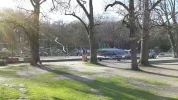 Slottsskogen Gbg 27 April 2018.webp