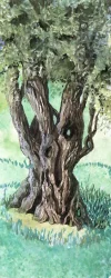 Olive Tree near Renoir's Studio.webp