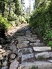 Hike Cypress.jpg