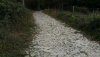 2016-09-26-114319-Cobble-stoned country road north of Porto.jpg