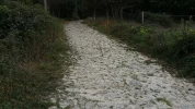 2016-09-26-114319-Cobble-stoned country road north of Porto.webp