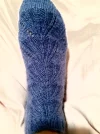 shell sock.jpg