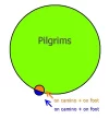 pilgrims.webp