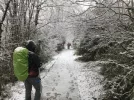 Camino snow.webp