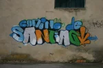 0872-Camino de Santiago graffiti (Rabe de las Calzados, 01.06.2011).webp