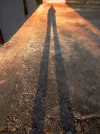 my shadow.webp