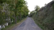 Briñas Trail along Ebro River.webp