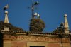 0548-storks nests on monastery of Sta.Maria de la Real (Najera, 25.05.2011).jpg