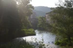 0336-rio Ega (Estella, 20.05.2011).webp