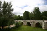 0856-Puente de Malatos (Burgos-Rabe de las Calzados, 31.05.2011).webp