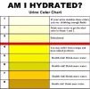 Pee Chart.jpg